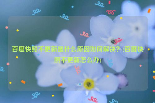 百度快照不更新是什么原因如何解决？(百度快照不更新怎么办)