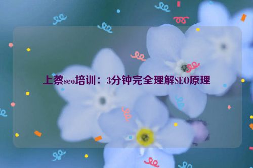 上蔡seo培训：3分钟完全理解SEO原理