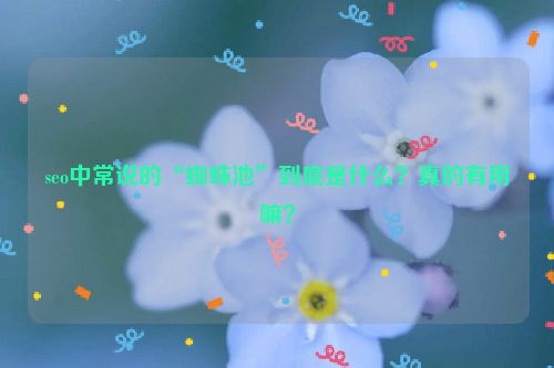 seo中常说的“蜘蛛池”到底是什么？真的有用嘛？