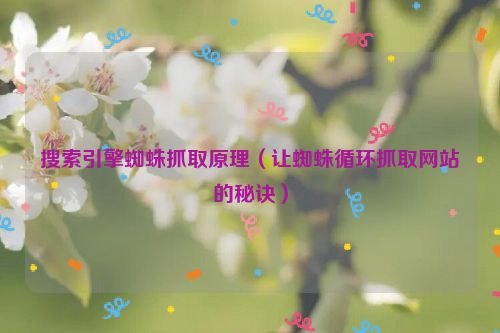 搜索引擎蜘蛛抓取原理（让蜘蛛循环抓取网站的秘诀）