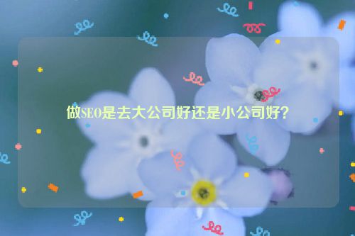 做SEO是去大公司好还是小公司好？