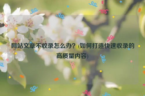 网站文章不收录怎么办？(如何打造快速收录的高质量内容)