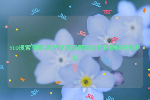 SEO搜索引擎-网站快照不更新或者更新慢有很多原