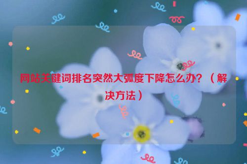 网站关键词排名突然大弧度下降怎么办？（解决方法）