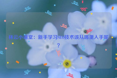 林云小课堂：新手学习SEO技术该从哪里入手呢？