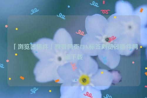 「浏览器插件」查看网页TDK标签浏览器插件网盘下载