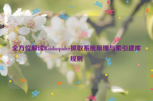 全方位解读Baiduspider抓取系统原理与索引建库规则