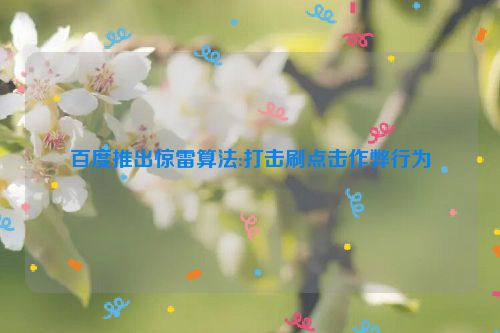 百度推出惊雷算法:打击刷点击作弊行为