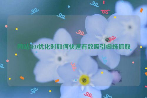 网站SEO优化时如何快速有效吸引蜘蛛抓取