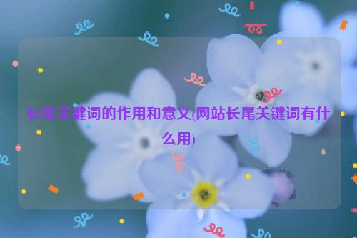 长尾关键词的作用和意义(网站长尾关键词有什么用)