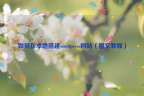 如何在本地搭建wordpress网站（图文教程）