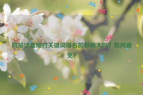 网站沙盒期对关键词排名的影响大吗？如何避免？