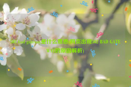 502 bad gateway是什么意思(网页出现502 BAD GATEWAY的原因解析)